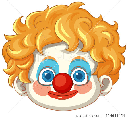 Colorful Clown Face Illustration 114651454