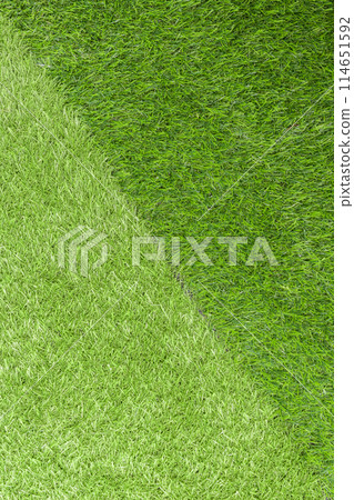 Artificial two green grass contrast Artificial two green grass contrast 114651592