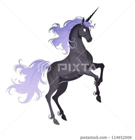 現實的獨角獸圖 114652006