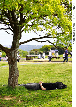 Man sleeping in the park Man sleeping in the park 114652029