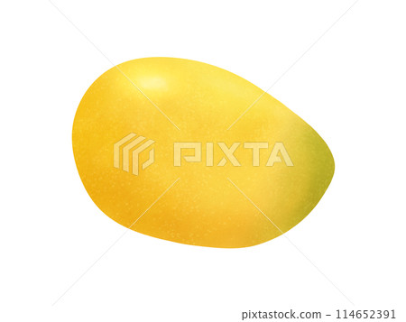 1 Alphonso mango 114652391