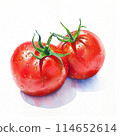 Fresh tomatoes 114652614