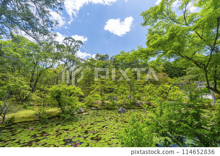 京都金地院弁天池和神社（弁天社） 114652836