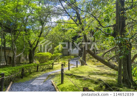 Kyoto Konchi-in Temple: The approach to the tower gate 114652839