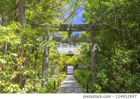 Kyoto Konchi-in Tower Gate, the approach to Toshogu Shrine Kyoto Konchi-in Tower Gate, the approach to Toshogu Shrine 114652847