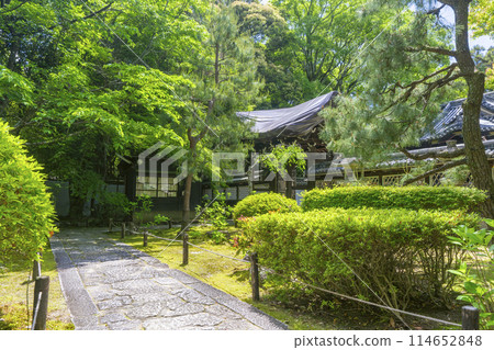 Kyoto Konchi-in Temple, Gotomon Gate, the approach to Toshogu Shrine 114652848