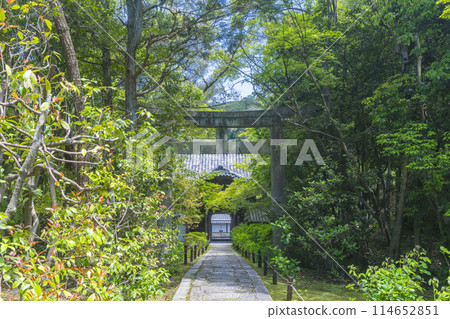 京都金地院大樓門，東照宮參道 114652851