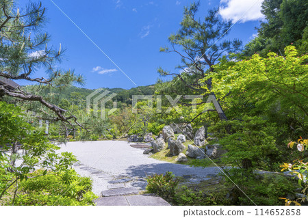 Kyoto Konchi-in Temple - The crane and turtle garden shines against the blue sky 114652858