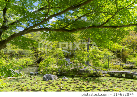 Benten Pond and Bentensha (guardian deity hall) at Konchi-in Temple in Kyoto 114652874
