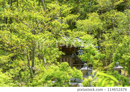 Benten Pond and Bentensha (guardian deity hall) at Konchi-in Temple in Kyoto 114652876