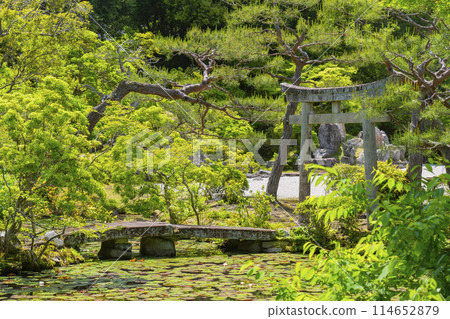 京都金地院弁天池和弁天神社（鎮柔道） 114652879