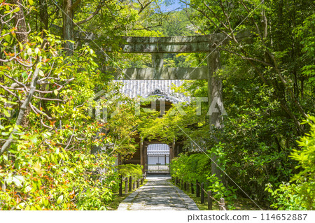 京都金地院、綠樹環繞的塔門、東照宮的參道 114652887
