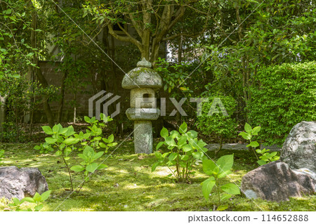 Kyoto Konchi-in Temple, Toshogu Shrine approach, elegant stone lantern 114652888