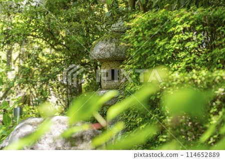 Kyoto Konchi-in Temple, Toshogu Shrine approach, elegant stone lantern 114652889