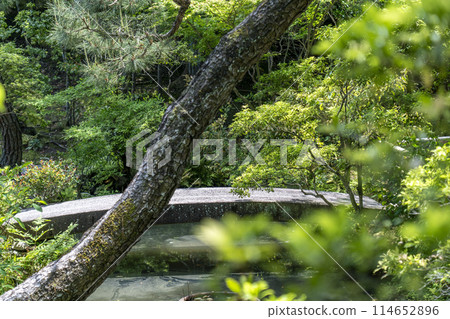 Kyoto Konchi-in Temple, stone bridge in front of the hojo Kyoto Konchi-in Temple, stone bridge in front of the hojo 114652896