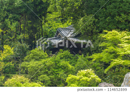 Toshogu Shrine seen through the gaps in the Tsurukame Garden at Konchi-in Temple, Kyoto 114652899