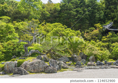 京都Kinno-in Tsurukame花園 114652900