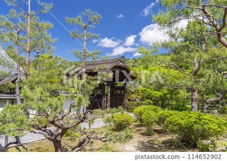 綠意盎然的京都金地院明智門 綠意盎然的京都金地院明智門 114652902