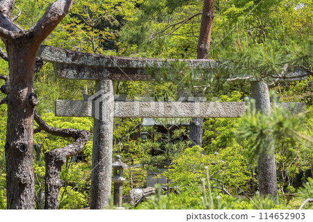 Benten Pond and Bentensha (guardian deity hall) at Konchi-in Temple in Kyoto 114652903