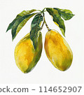 Mango with leaves 114652907