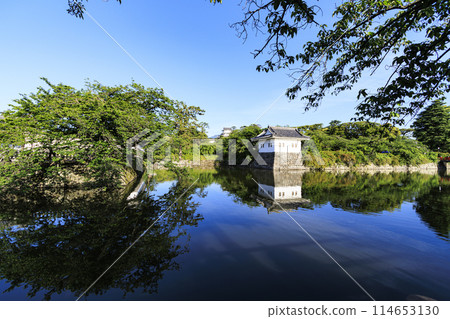 Spring/early summer (sunny) at Odawara Castle ruins, Odawara City, Kanagawa Prefecture 114653130