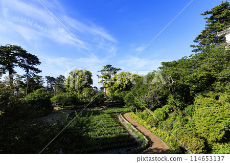 Spring/early summer (sunny) at Odawara Castle ruins, Odawara City, Kanagawa Prefecture Spring/early summer (sunny) at Odawara Castle ruins, Odawara City, Kanagawa Prefecture 114653137