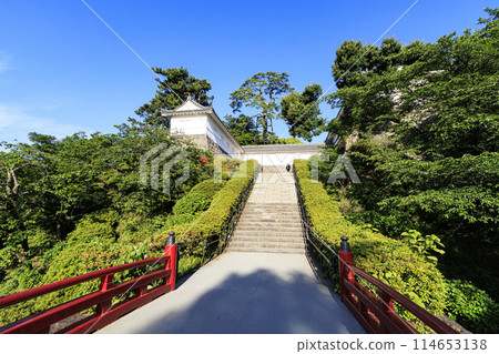 Spring/early summer (sunny) at Odawara Castle ruins, Odawara City, Kanagawa Prefecture Spring/early summer (sunny) at Odawara Castle ruins, Odawara City, Kanagawa Prefecture 114653138