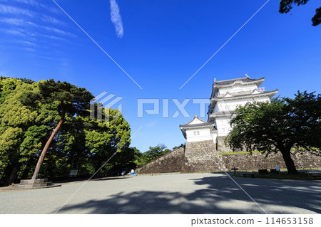 神奈川縣小田原市小田原城蹟春季/初夏(晴天) 神奈川縣小田原市小田原城蹟春季/初夏(晴天) 114653158