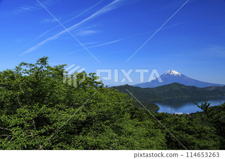 Lake Ashi and Mt. Fuji as seen from Fujimi Pass in Hakone, Ashigarashimo District, Kanagawa Prefecture 114653263