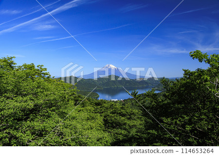 Lake Ashi and Mt. Fuji as seen from Fujimi Pass in Hakone, Ashigarashimo District, Kanagawa Prefecture 114653264