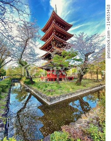 clear, fine, five-storied pagoda 114653418