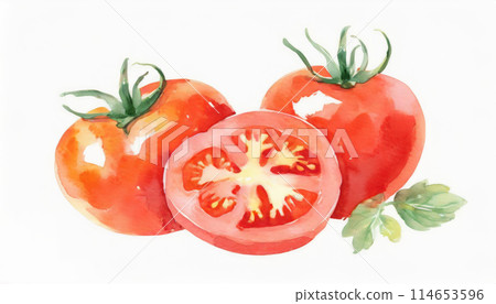 迷你番茄畫水彩 114653596