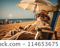 Funny monkey in sunglasses and hat relaxing on beach chair with cocktail by the sea 114653675