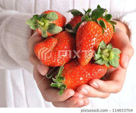 Strawberries in child's hands. The girl is holding strawberries in hands. Healthy food 114653704