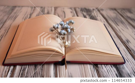 Antique books and dried flowers 2 114654333
