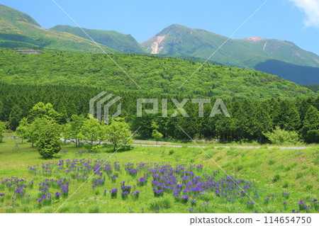 Mount Kokonoe in early summer (Kuju Town, Taketa City) 114654750
