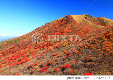 Mt. Hoshisho in autumn (Kuju Mountains) 114654803