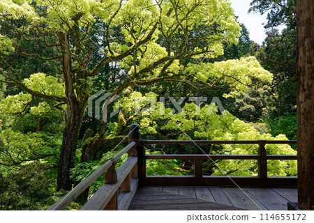 書寫山圓教寺被新綠環繞 114655172