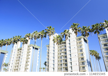 A resort condominium in Koajiro, Miura City, Kanagawa Prefecture, with palm trees shining against the blue sky A resort condominium in Koajiro, Miura City, Kanagawa Prefecture, with palm trees shining against the blue sky 114655345