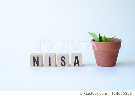 NISA, stack up, an investment trust 114655596