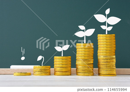 硬幣和黑板上畫的芽的生長 — 資產增長的形象 114655994