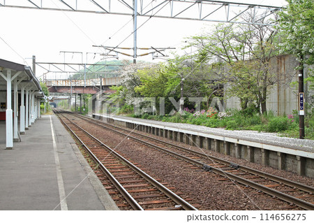 望居站 JR望居站 望居 M35 室蘭本線 望居目食 望居站 JR望居站 望居 M35 室蘭本線 望居目食 114656275