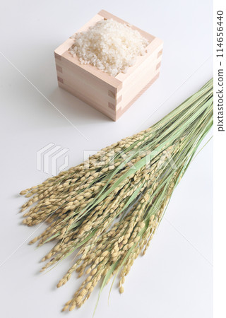 米(米粒)和米穗各適量 米(米粒)和米穗各適量 114656440