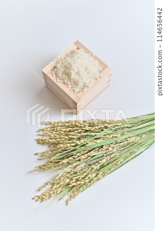 米(米粒)和米穗各適量 米(米粒)和米穗各適量 114656442