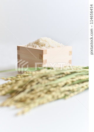米(米粒)和米穗各適量 米(米粒)和米穗各適量 114656454