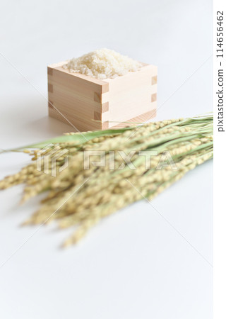 Rice (grains) and ears of rice in a masu Rice (grains) and ears of rice in a masu 114656462