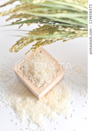 米(米粒)和米穗各適量 米(米粒)和米穗各適量 114656473