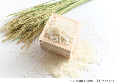 米(米粒)和米穗各適量 米(米粒)和米穗各適量 114656475