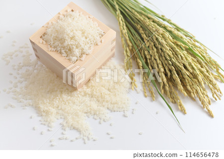 Rice (grains) and ears of rice in a masu 114656478
