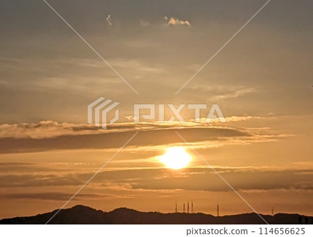 鳥兒在落日的天空中飛翔 114656625